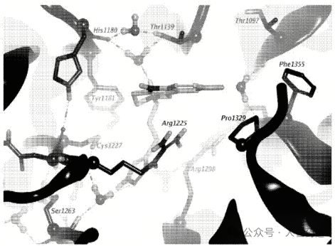 The Future of PROTACs and Molecular Glue: E3 Ligand Development Overview