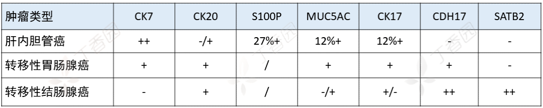 Summary of Immunohistochemical Markers for Liver Cancer