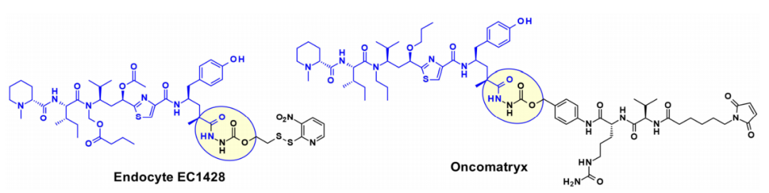 Overview of Antibody-Drug Conjugates (ADCs)