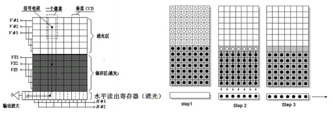 The Evolution and Principles of CCD Image Sensors