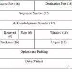 Understanding TCP Through a Historical Analogy