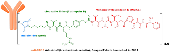 Technical Insights into 15 ADC Drugs and Future Innovations