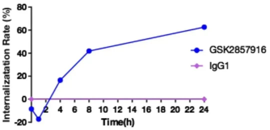 Innovative Delivery: Comprehensive Analysis of 'Magic Bullet' ADC Drug Screening