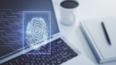 Digital Signature Algorithm (DSA) in Cryptography: How It Works and Its Advantages
