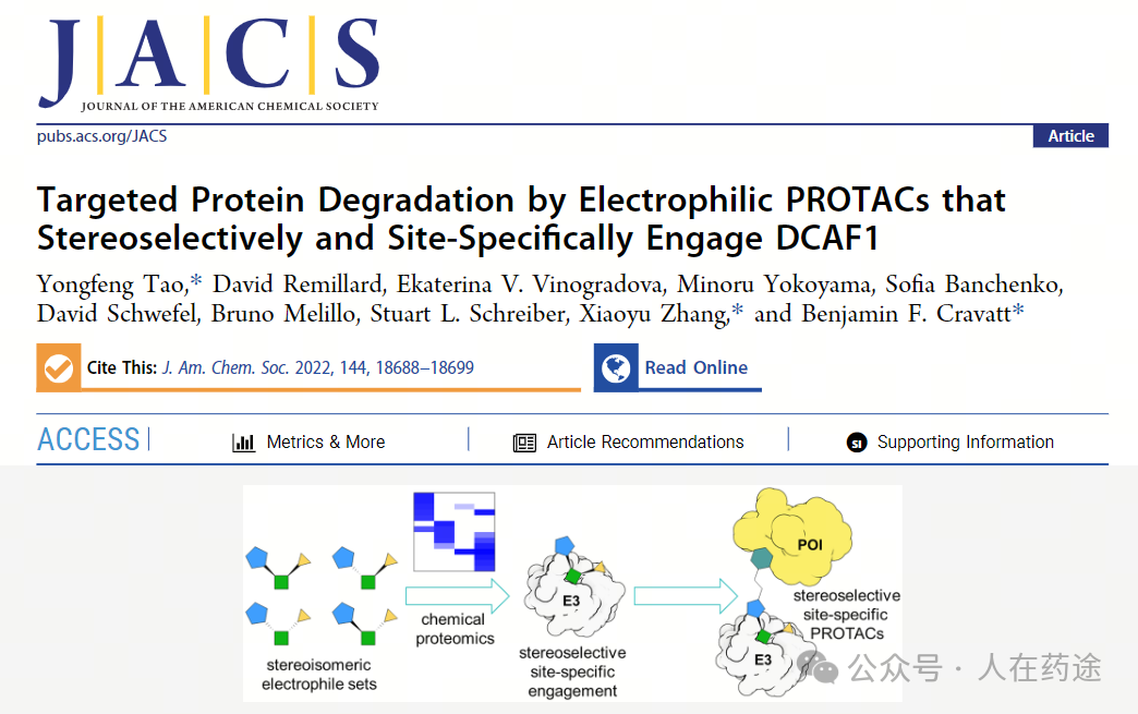 The Future of PROTACs and Molecular Glue: E3 Ligand Development Overview
