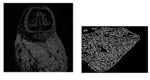 Comprehensive Guide to Edge Detection Algorithms