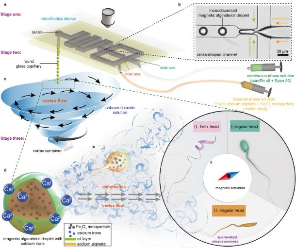 One-Step Formation Method of Sperm-Like Structure Microrobots for Drug Delivery
