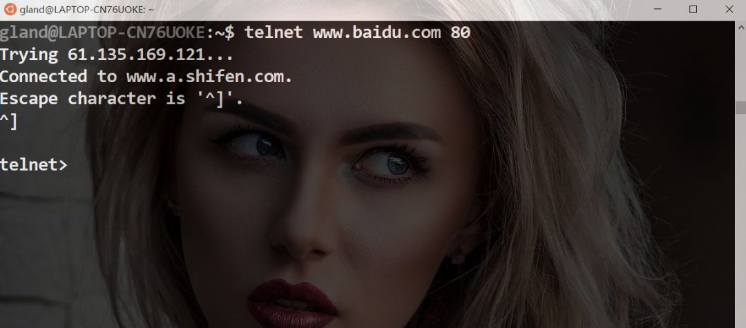 Basics of HTTP and Simple Telnet Commands