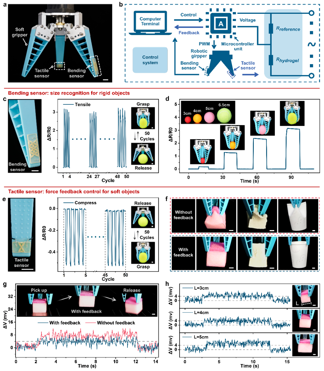 AFM: A Novel High-Sensitivity, Wide-Detection Range Flexible Stretchable Hydrogel Sensor Based on High-Density Cracks