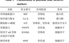 Early Screening for Osteoporosis: Latest Research Progress and Prospects of BTMs