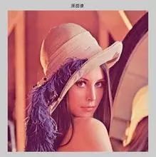 Pillow-SIMD: Faster Image Processing with Pillow