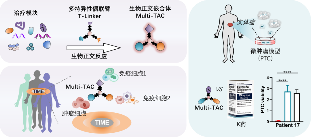 New Cancer Immunotherapy Technology: Multi-TAC