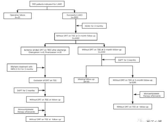 Anticoagulant Drug Selection After Left Atrial Appendage Closure