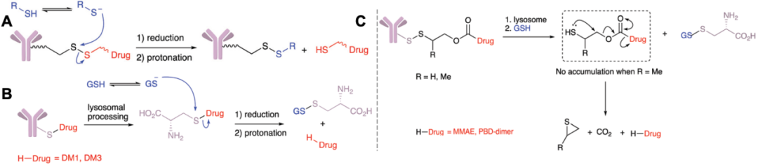 Classification, Cases, and Mechanism of Cleavable Linkers in ADC