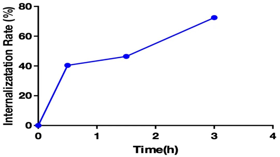 Innovative Delivery: Comprehensive Analysis of 'Magic Bullet' ADC Drug Screening