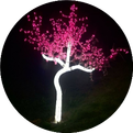 Raspberry Pi | Linux Commands