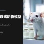 Current Status of ACLF Animal Model Research