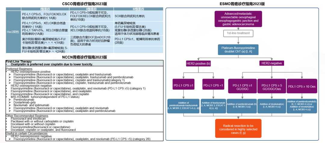 Professor Ying Jie'Er: Treatment of Elderly Patients with Advanced Gastric Cancer
