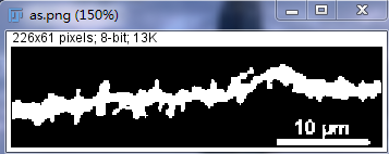 Unlocking Various Technical Skills in ImageJ