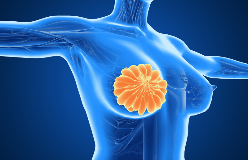 Available ADC Drugs for Breast Cancer Patients