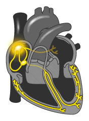 How to Use a Defibrillator: Operation Procedures