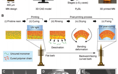 Applications of Projection Photopolymerization in 3D Bioprinting: Microneedles, Microspheres, and Microfluidic Chips