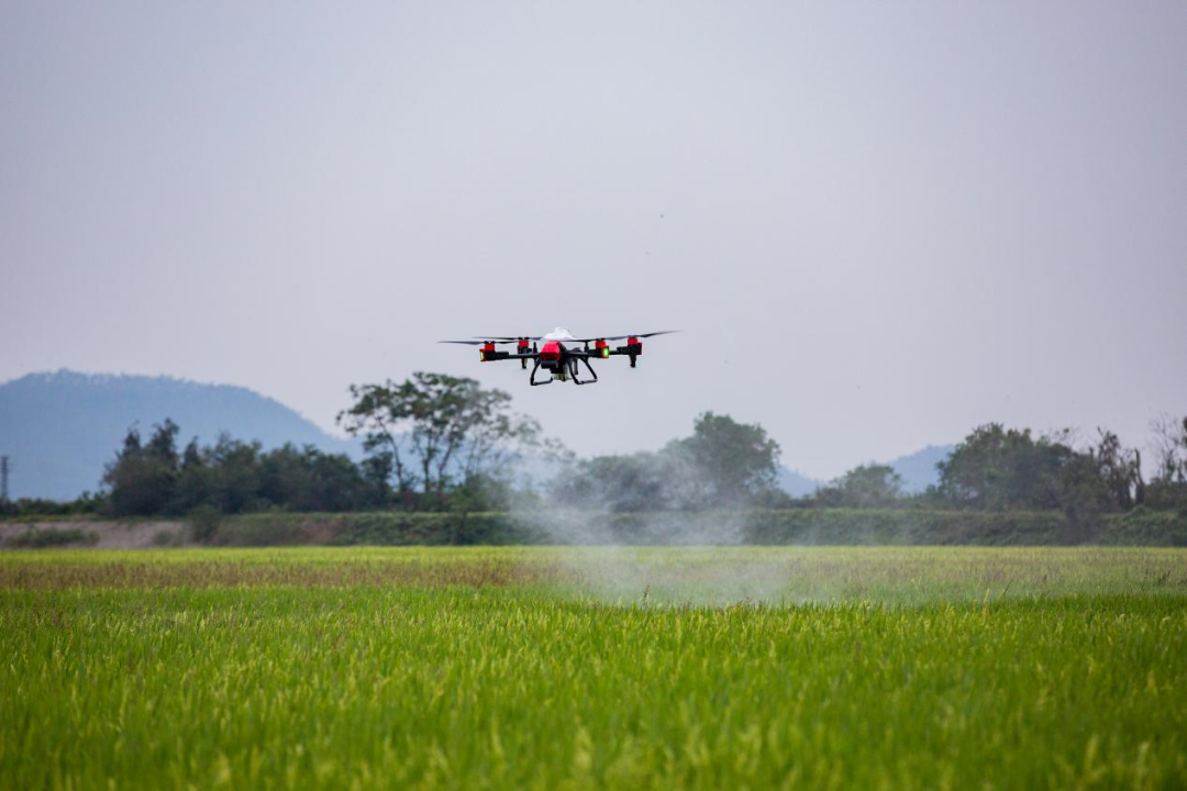 Common Uses of Drones: Top 10 Applications