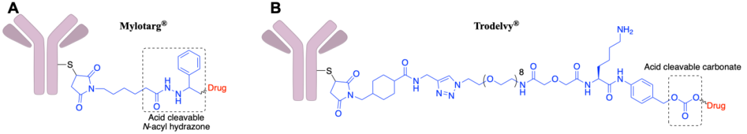 Classification, Cases, and Mechanism of Cleavable Linkers in ADC