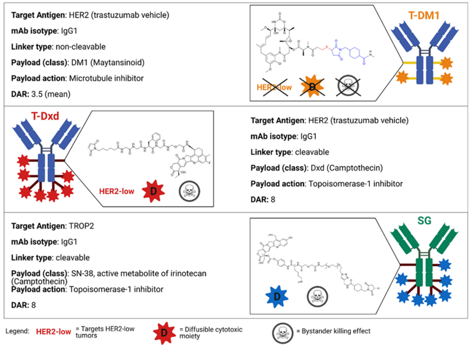 Antibody-Drug Conjugates for Breast Cancer Treatment