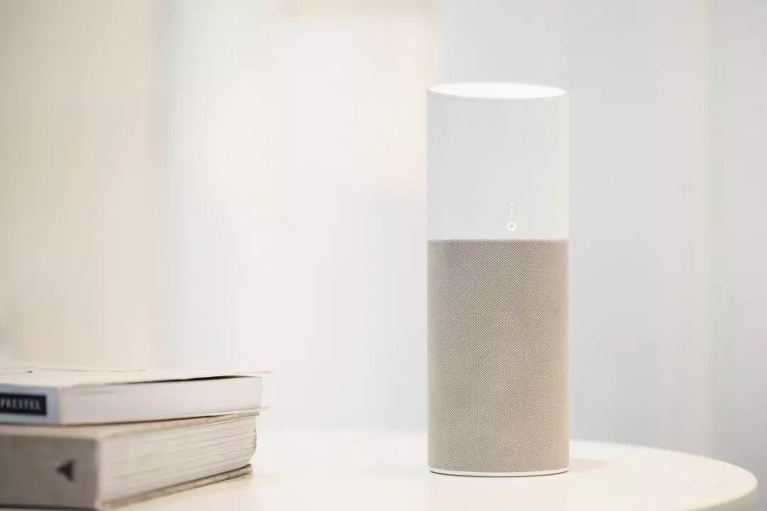 Review Report of Five Domestic Smart Speakers: Their IQs Still Need Improvement