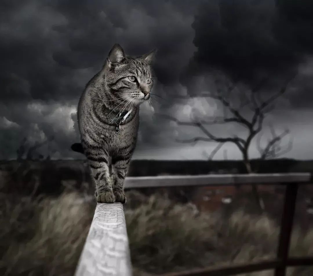 Current State of Operating Systems: Calm Application Environment Amidst a Technological Tide