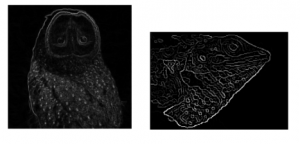 Comprehensive Guide to Edge Detection Algorithms