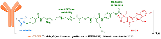Technical Insights into 15 ADC Drugs and Future Innovations