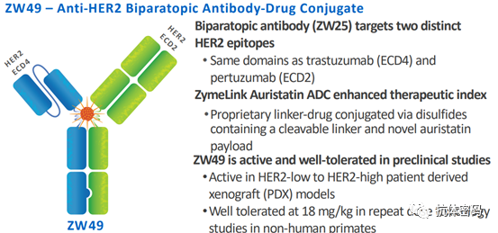 The Next Step for Bispecific Antibodies: Bispecific ADC?
