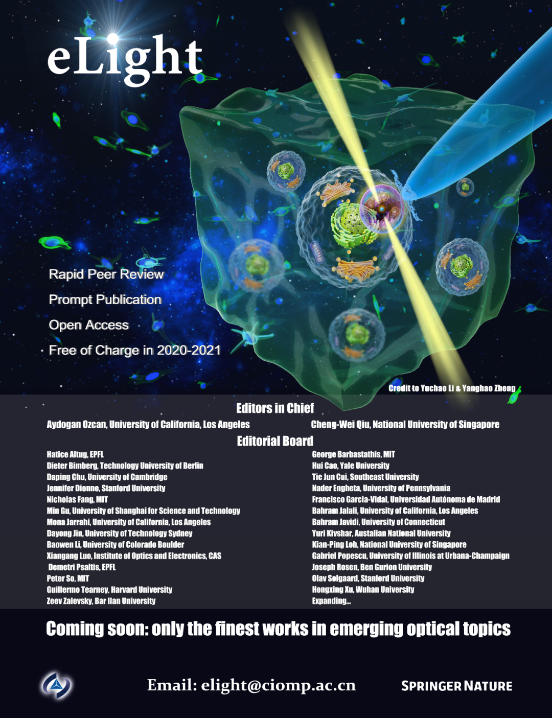 Rapid Water Quality Testing: Evanescent Wave Fiber Sensors