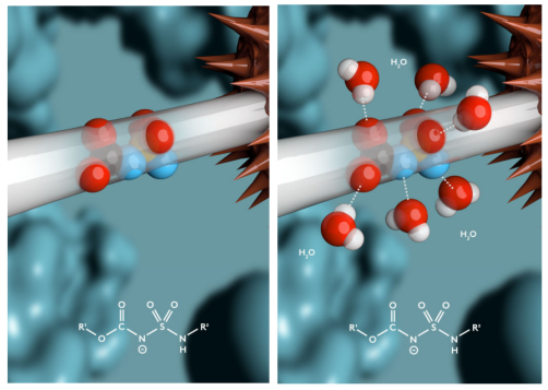 Technical Insights into 15 ADC Drugs and Future Innovations