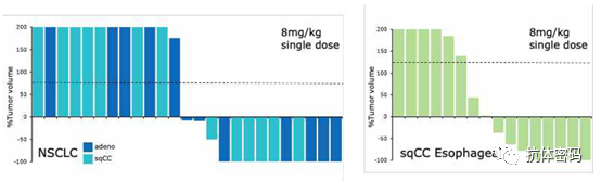 The Next Step for Bispecific Antibodies: Bispecific ADC?