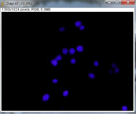 Unlocking Various Technical Skills in ImageJ