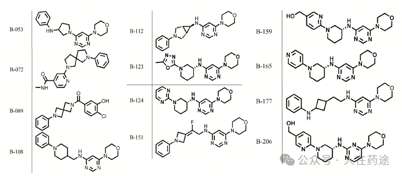 The Future of PROTACs and Molecular Glue: E3 Ligand Development Overview