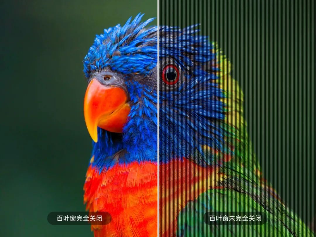 Understanding OLED Transparent Display Technology