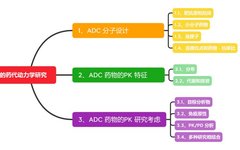 Key Points and Challenges in PK/PD Studies of ADC Drugs