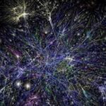 The TCP/IP Protocol That Changed the World