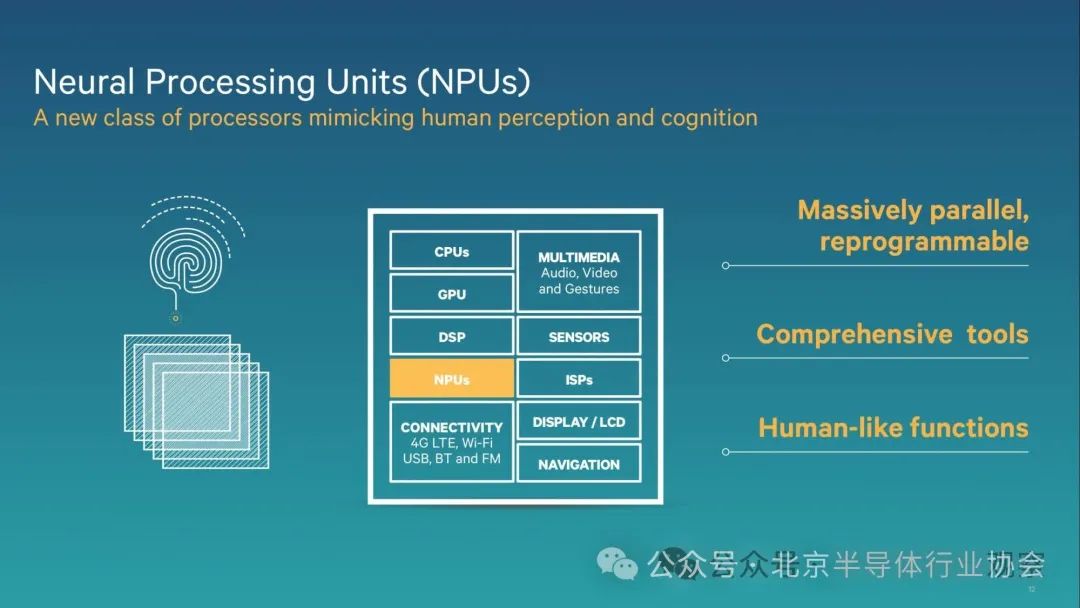 Differences Between DPU and GPU