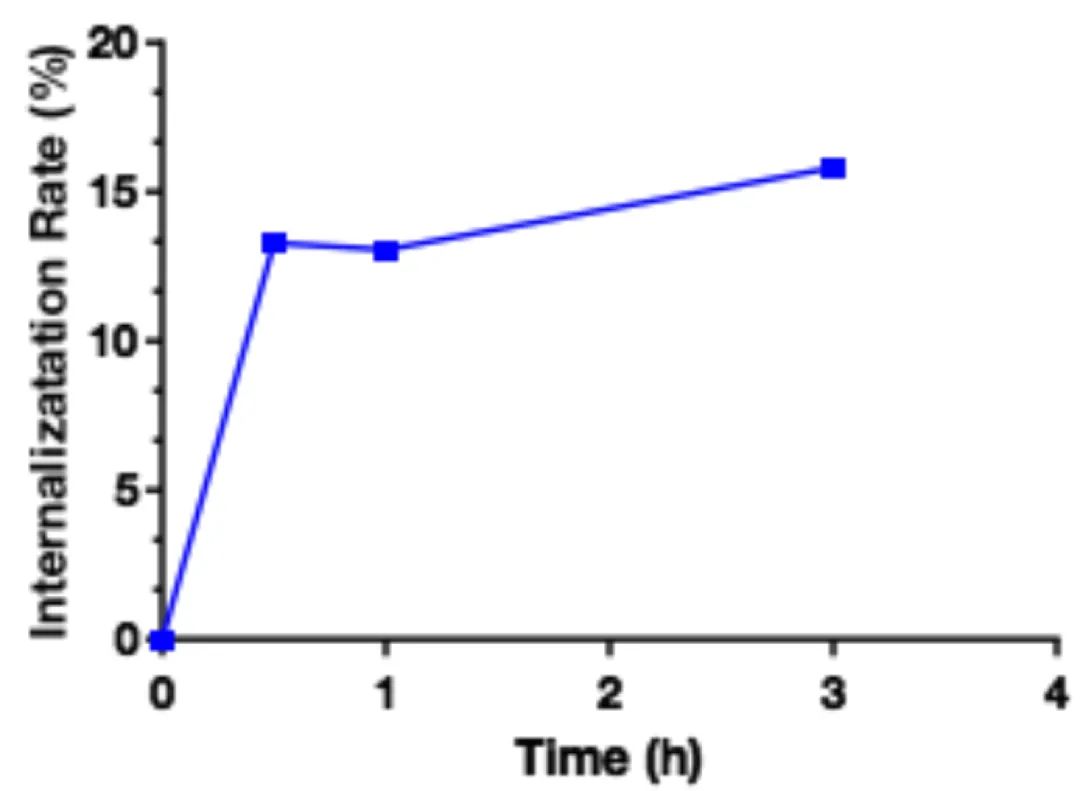 Innovative Delivery: Comprehensive Analysis of 'Magic Bullet' ADC Drug Screening