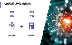 What Kind of NPU Can Achieve Clear and Understandable Vision