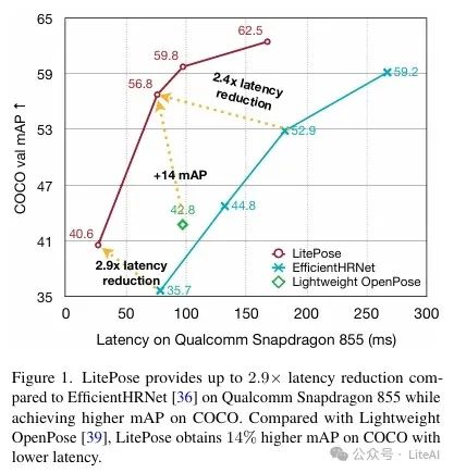 Efficient Pose Estimation Inference with LitePose