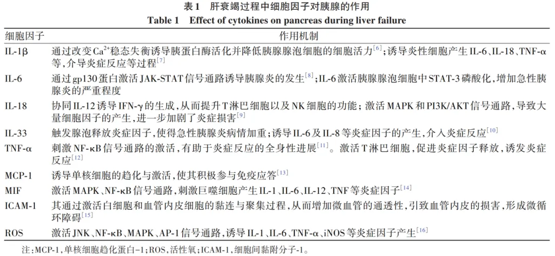 Mechanisms and Prevention of Acute Pancreatitis Complicating Liver Failure