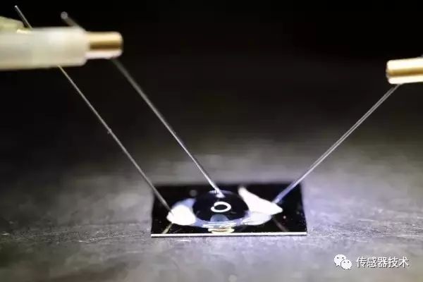 Understanding Biosensors: Applications and Principles