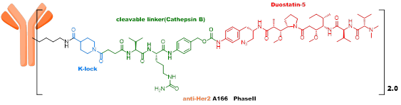 Technical Insights into 15 ADC Drugs and Future Innovations