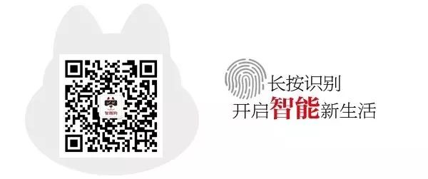 Understanding the Past and Present of Xiaomi's Pinecone Surge S1 and Its True Performance